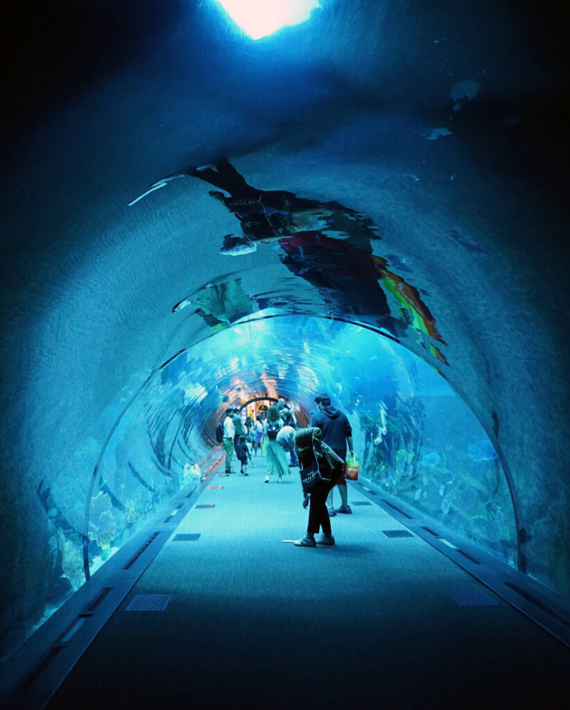 Dubai Aquarium