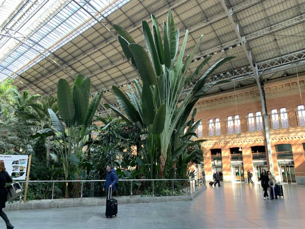 Atocha Madrid Attractions Obiective Turistice