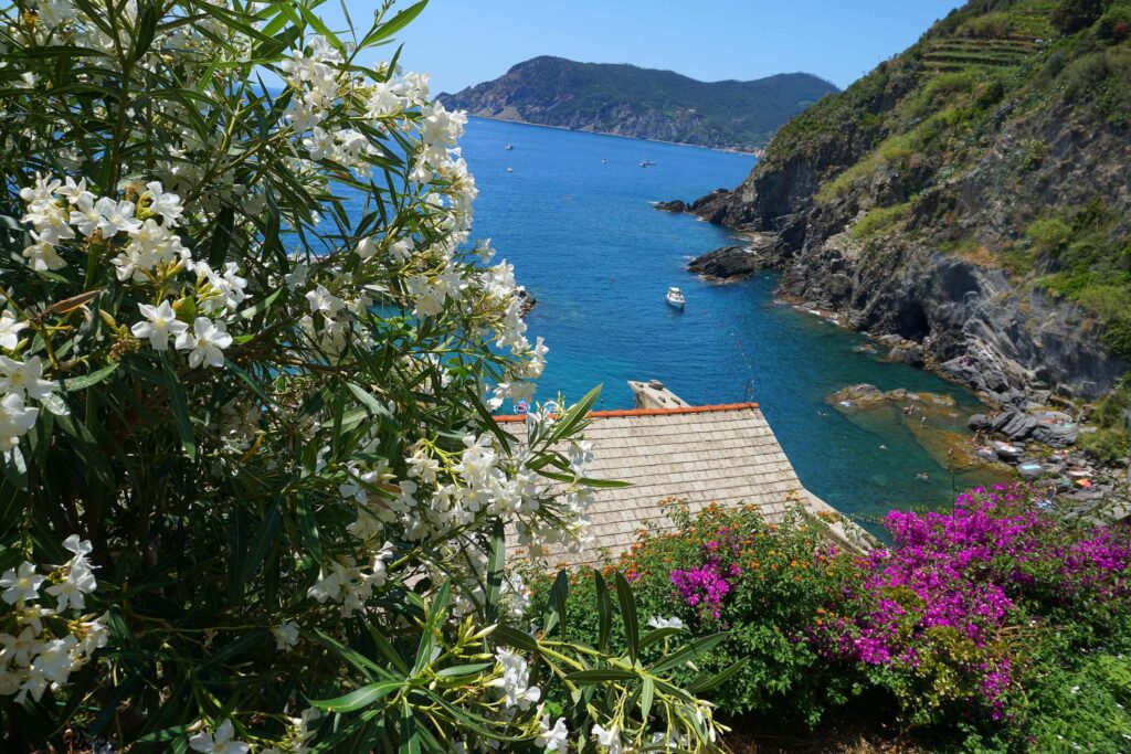 Cinque Terre landscape