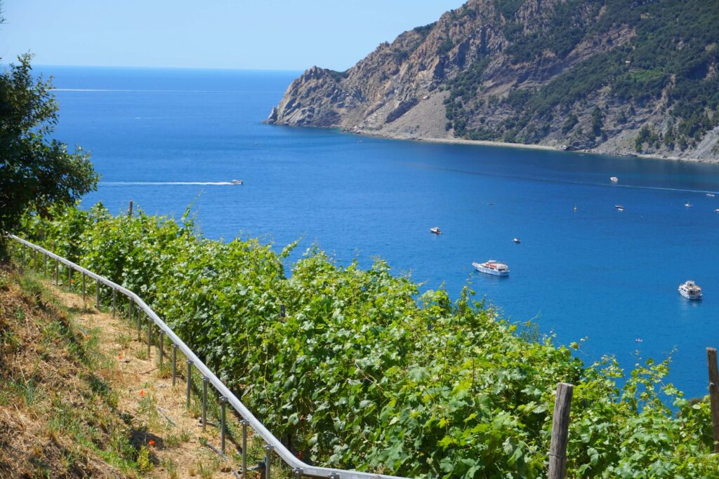 Cinque Terre landscape