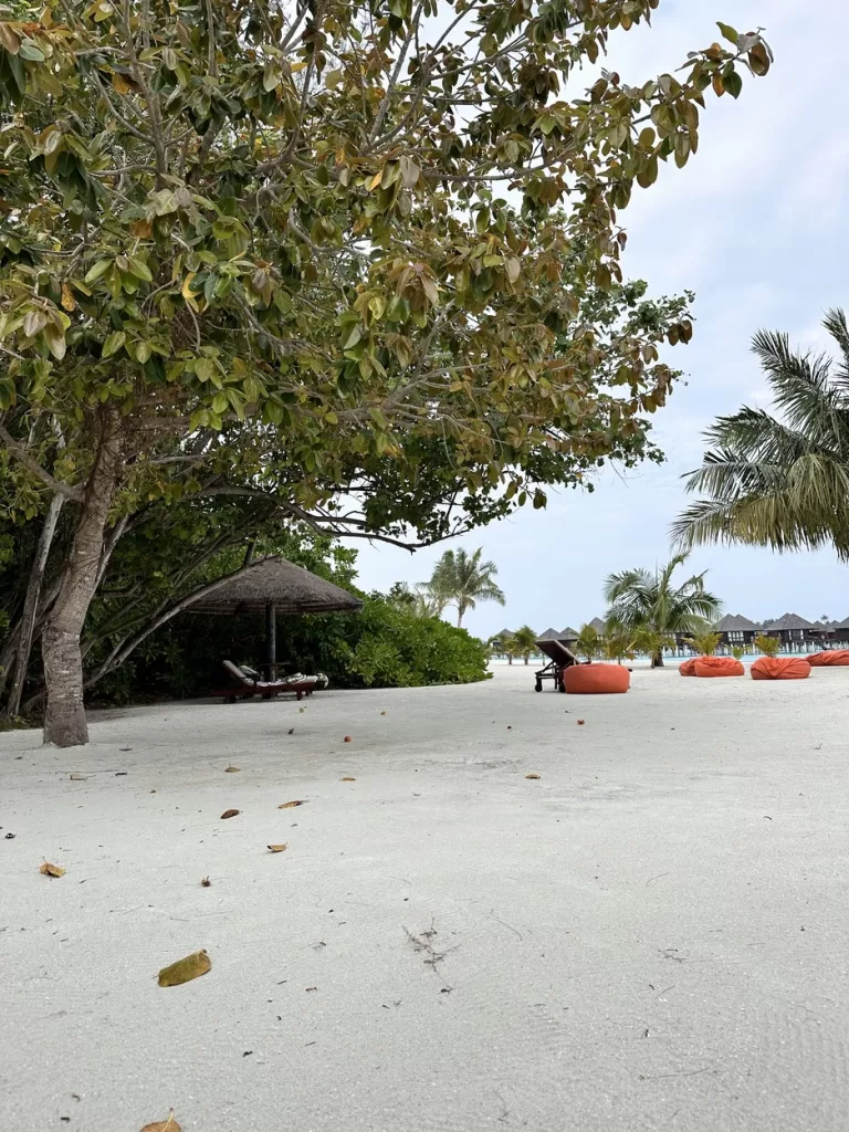 Vacanta Maldive