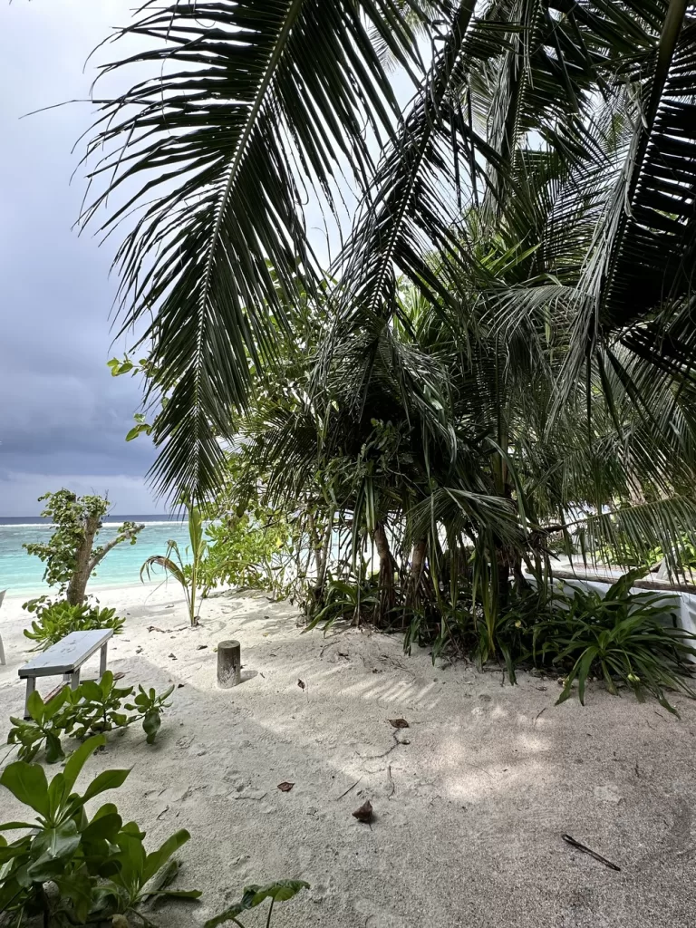 Vacanta Maldive