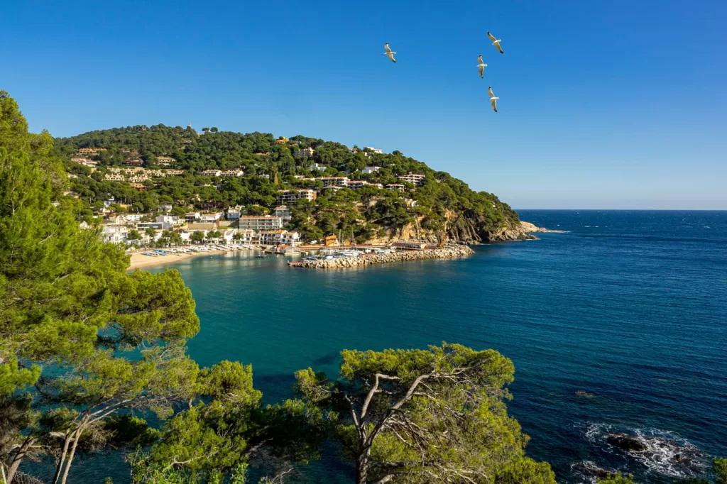 Llafranc, Costa Brava