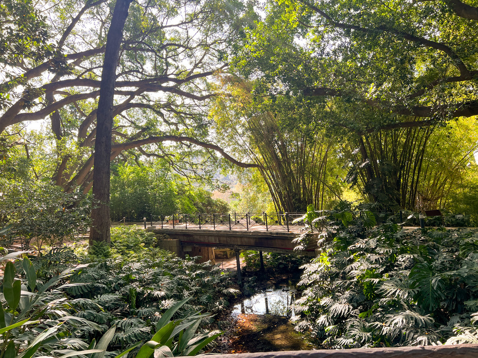 Gradina botanica Obiective turistice Malaga