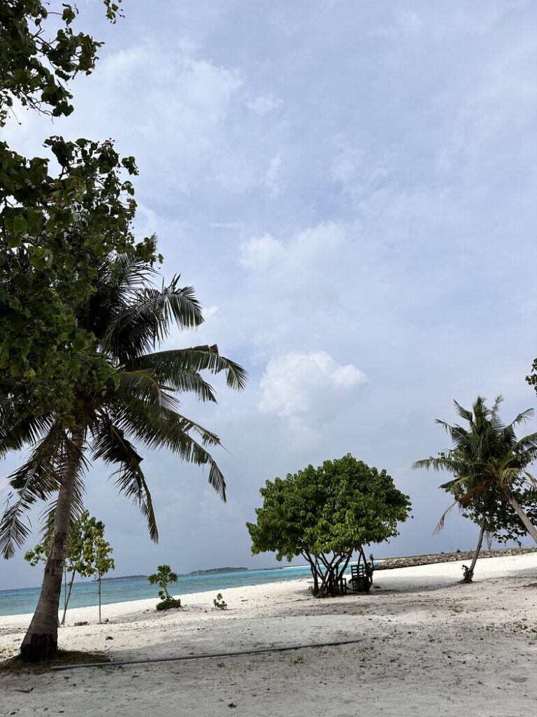 Maafushi Island Maldive Hide Et Seek