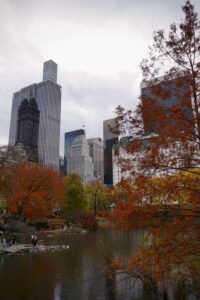 Central Park New York Obiective Turistice