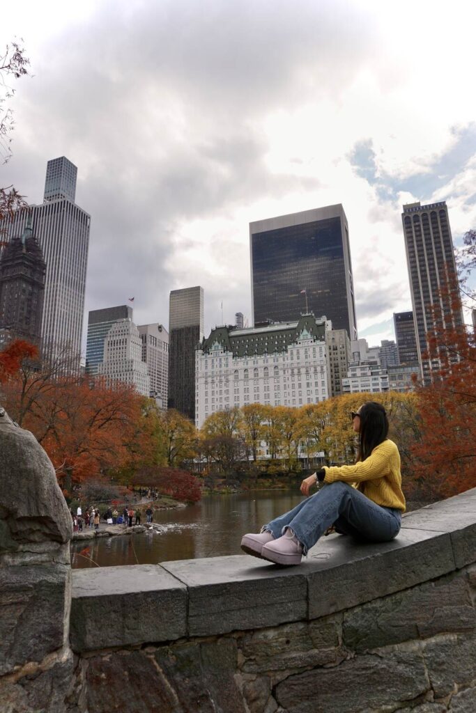 Central Park New York Obiective Turistice