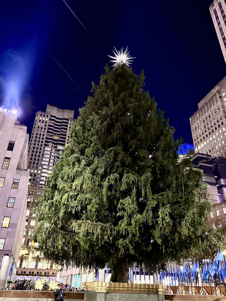 Rockefeller Center Christmas Tree