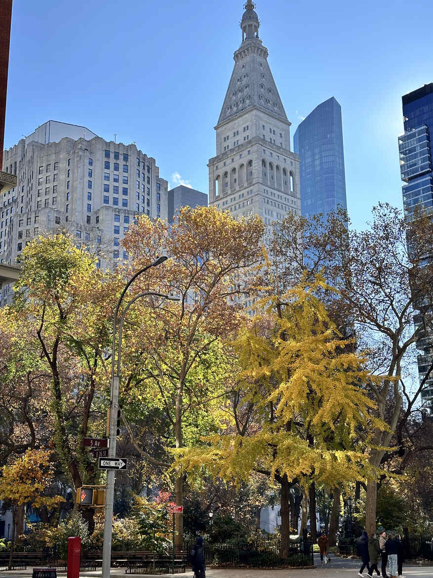 Madison Square Park New York City