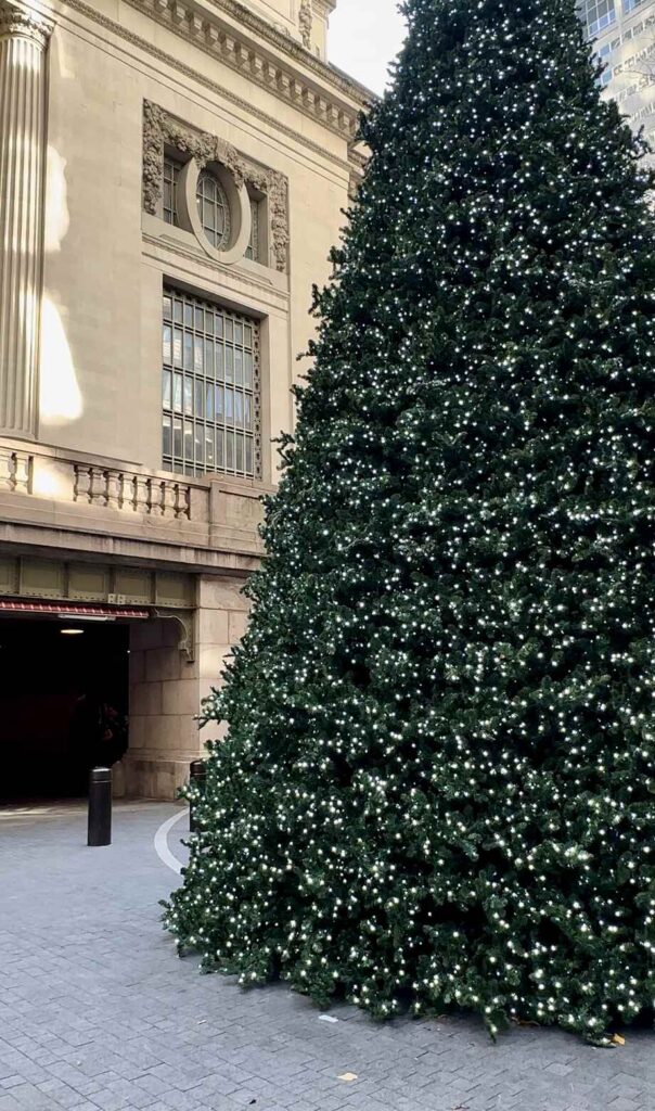 Grand Central Terminal Christmas Tree New York Craciun