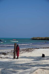 Zanzibar Masaai