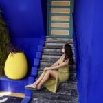 Le Jardin Majorelle Berber Museum Marrakech
