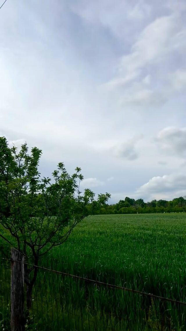 Cand am început sa vrem mai mult? 🙃

#hideetseek